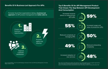 Etude sur les bénéfices de l'API Management pour le Business 