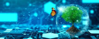 Ecoconception des sites Web&nbsp;: la maîtrise technique est là, pas la volonté