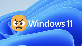 Windows 11