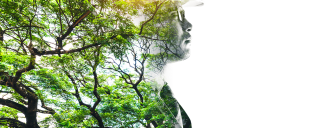 Feu vert pour une IT plus green