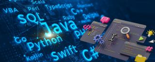 Quel est le langage de programmation de l'année écoulée ?
