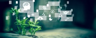 Stratégie data et Green IT&nbsp;: comment travailler la sobriété de vos données ?