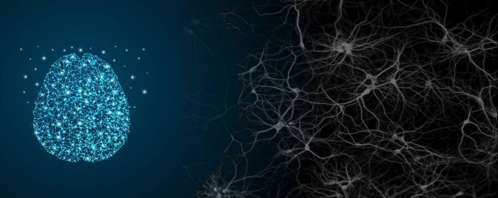 Des réseaux de neurones dans un simple PC