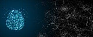 Des réseaux de&nbsp;neurones dans&nbsp;un&nbsp;simple PC