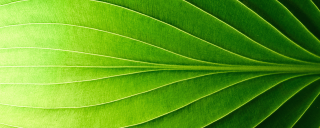 Schneider Electric : une entreprise engagée avec les labels Green Premium et Circular Certified