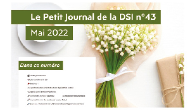 Newsletter mensuelle interne à la DSI de la Maif, Le petit journal de la DSI met en valeur ses réalisations et ses équipes. Autre média régulier, La voix de l’utilisateur sert à partager à tous les données captées en termes de satisfaction et de difficultés.