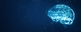 cerveau