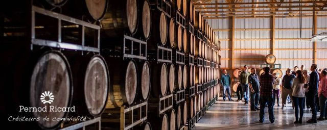 Pernod Ricard met les algorithmes d’IA au service de ses commerciaux