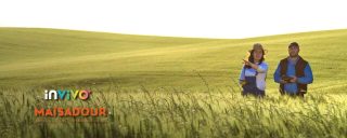 Maïsadour et InVivo s’acculturent au e-commerce