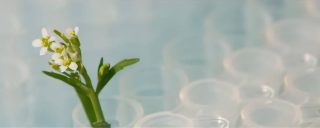 L’IBMP passe au stockage objet pour gérer l’explosion de ses données R&amp;D