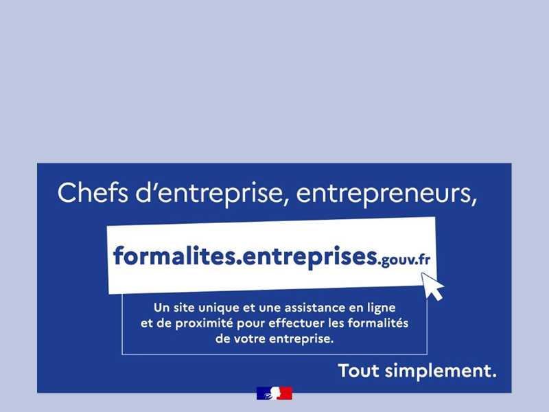 PDP mode d'emploi.  Le Répertoire National des Entreprises et des Établissements  vise à simplifier et moderniser la vie des entreprises.