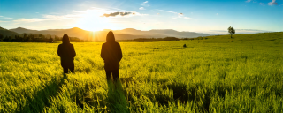 Lupin &amp; Holmes&nbsp;outille la cybersécurité offensive