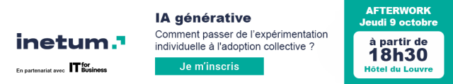 bannières_inetum